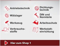 Teaser Shop 1