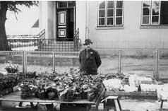 Pflanzenhof Paulwitz Neumünster