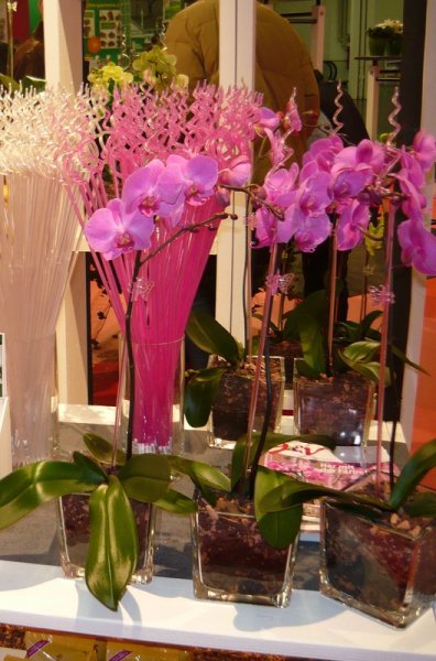 Orchideenzubehör