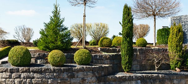 Michael Friedrich Gartenbau Hamburg Besser Besser