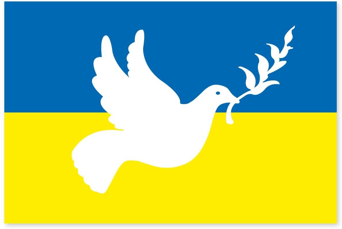 2022 Ukraine Flagge