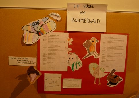 Dokuwand